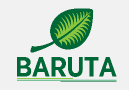 Baruta